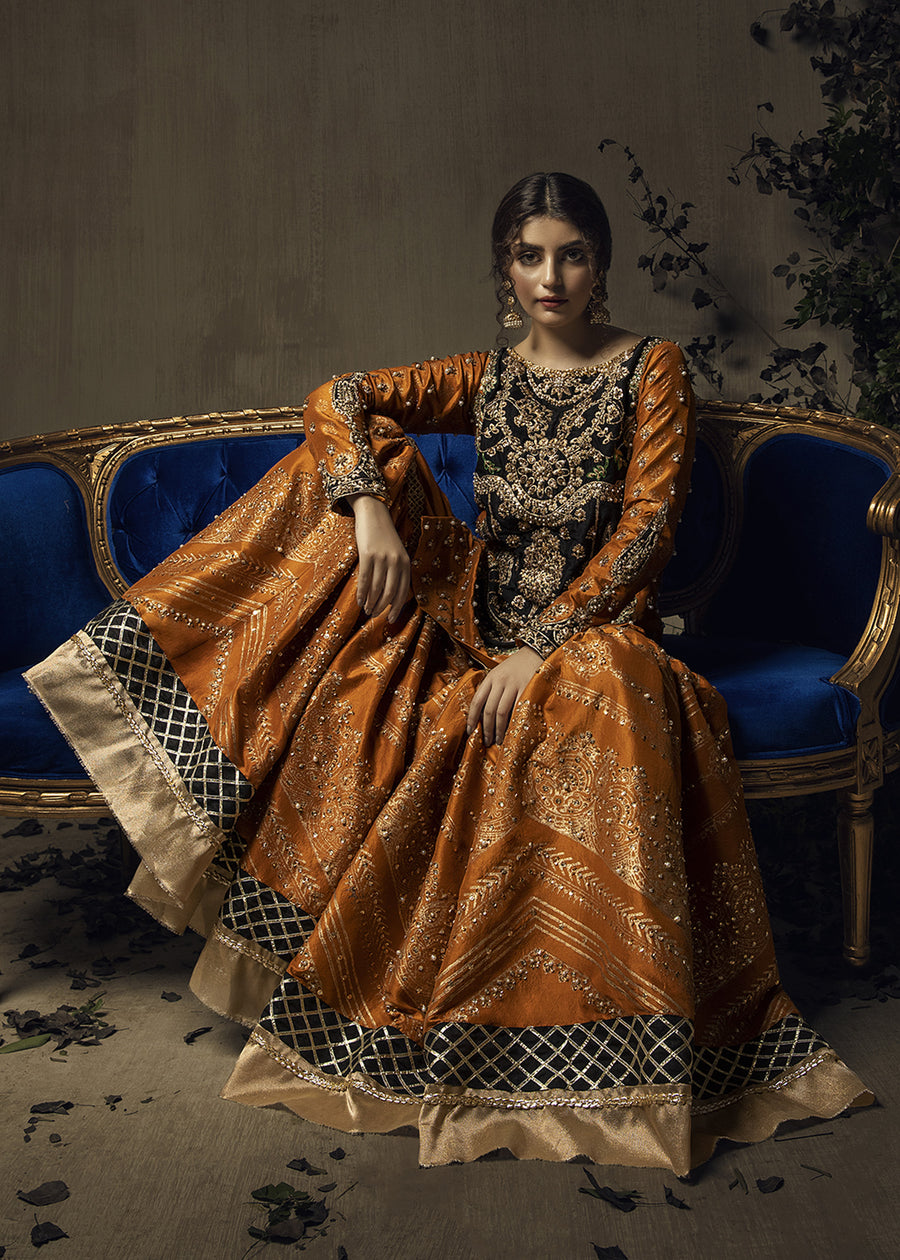 Pakistani Formal Outfits for Women – Ali Xeeshan – Ali Xeeshan